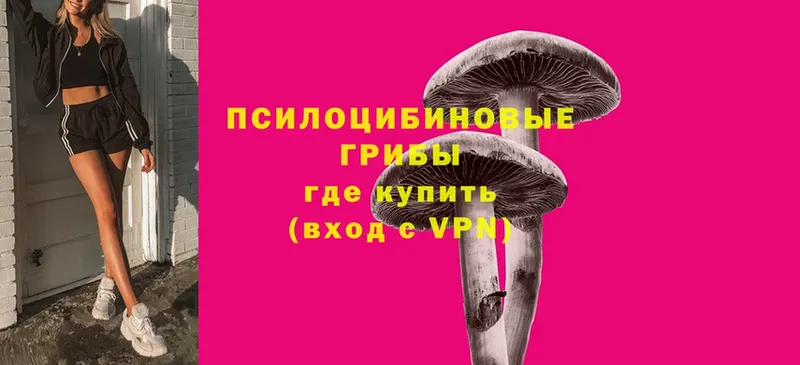 купить наркоту  Бабушкин  Галлюциногенные грибы Magic Shrooms 